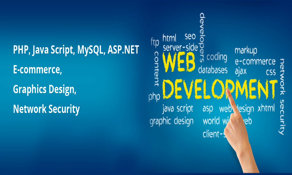 Web development Company